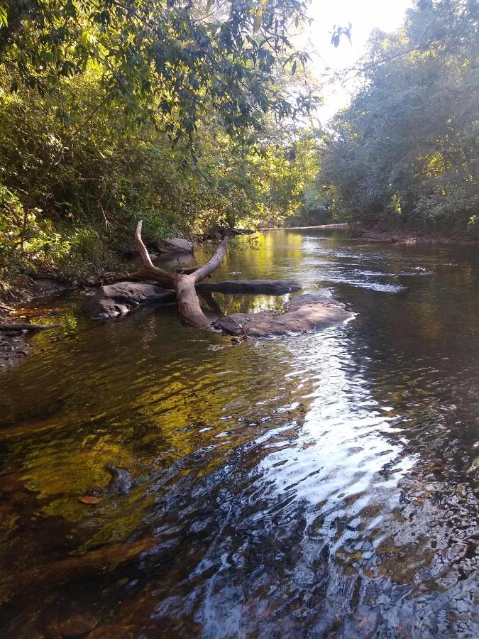 Pousada Primavera Dos Pireneus Pirenópolis 外观 照片